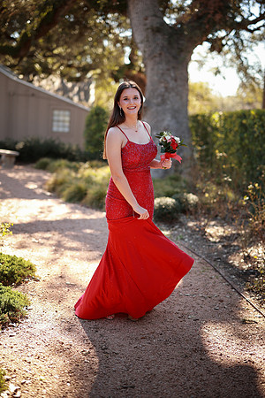Prom-3303