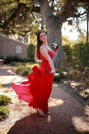Prom-3309