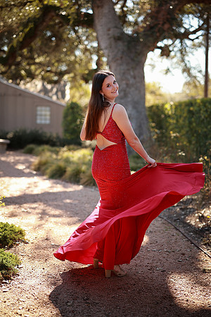 Prom-3310