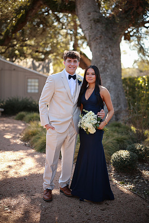 Prom-3326