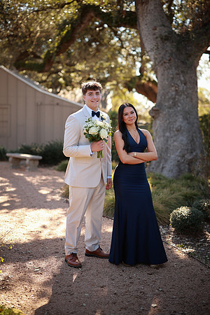 Prom-3339