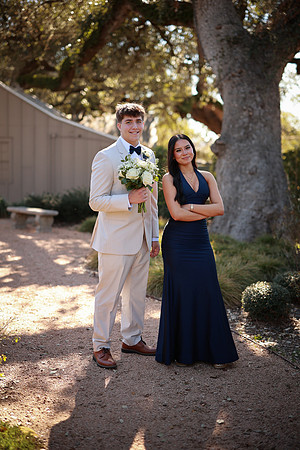 Prom-3342