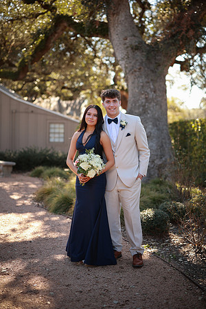 Prom-3348