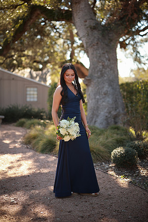 Prom-3355