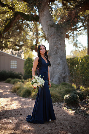 Prom-3358