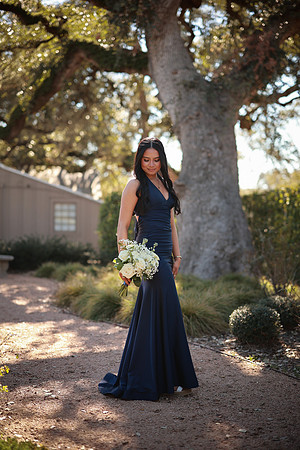 Prom-3361