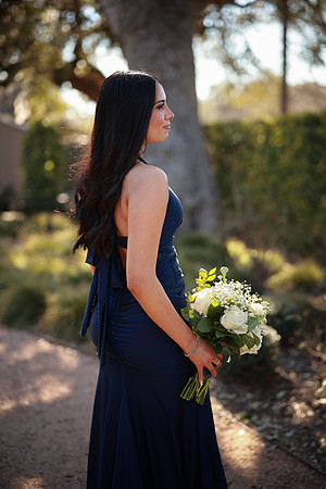 Prom-3379