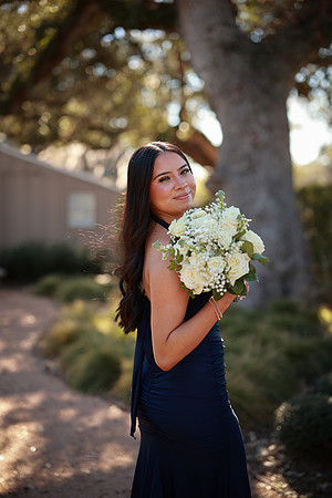 Prom-3380