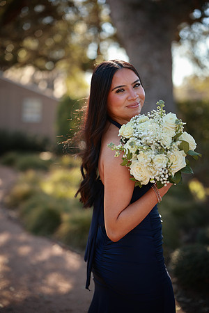 Prom-3385