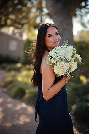 Prom-3387