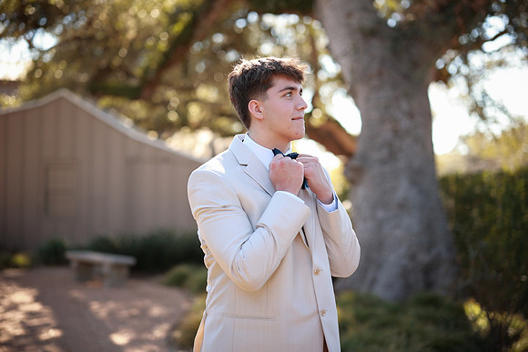 Prom-3397