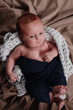 Brady-2193