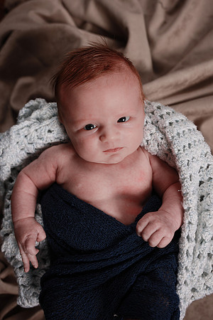 Brady-2196