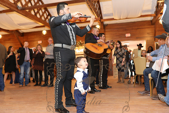 Reception Candids (49)