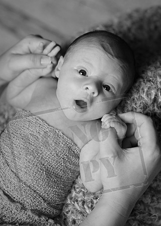 IMG_1352bw