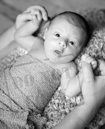 IMG_1358bw