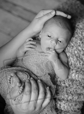 IMG_1360bw