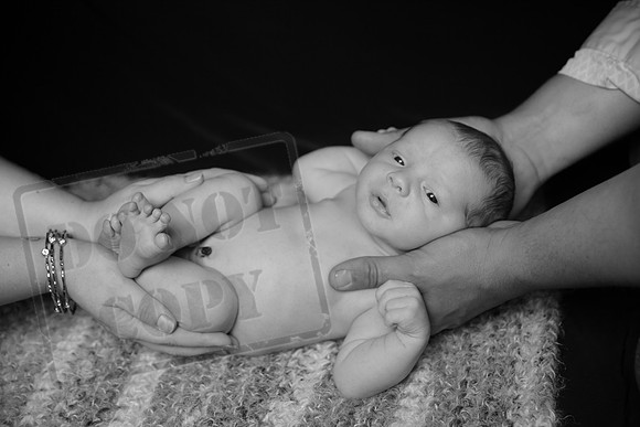 IMG_9538bw