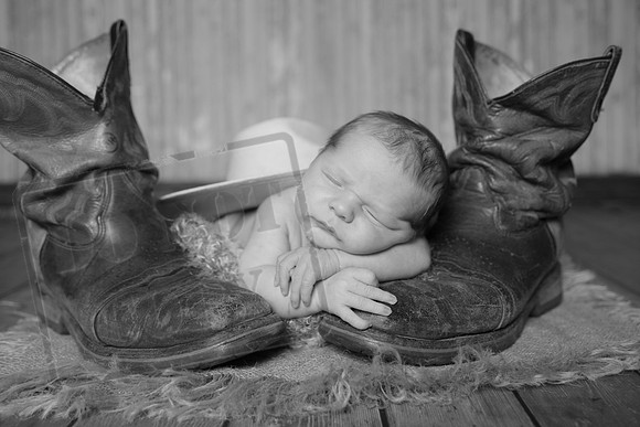 IMG_9560bw