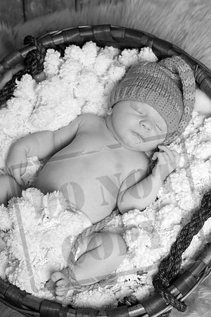 IMG_9574bw