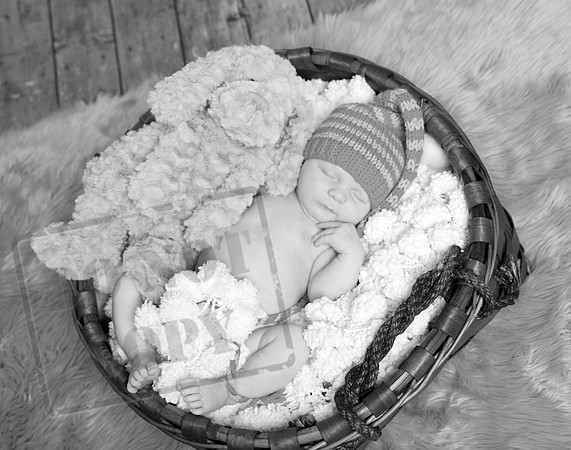 IMG_9576bw