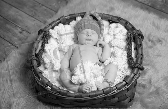 IMG_9581bw
