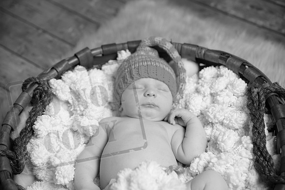 IMG_9582bw