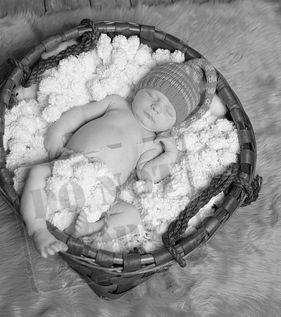 IMG_9585bw