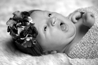 IMG_3740bw