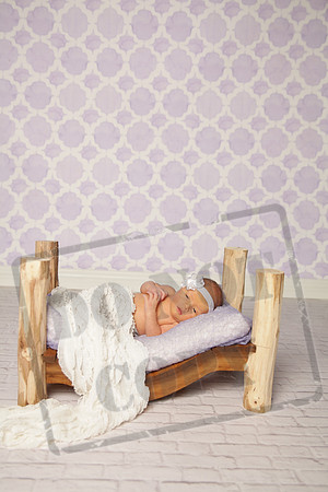 IMG_3803