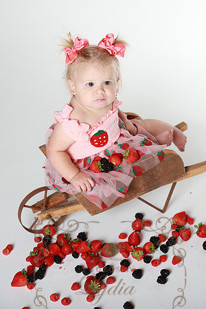 Sophia-7790