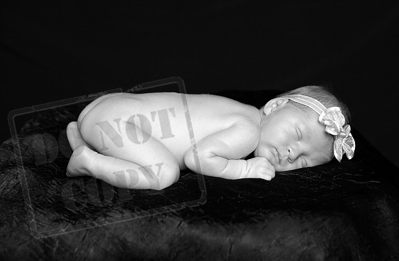 IMG_3883bw