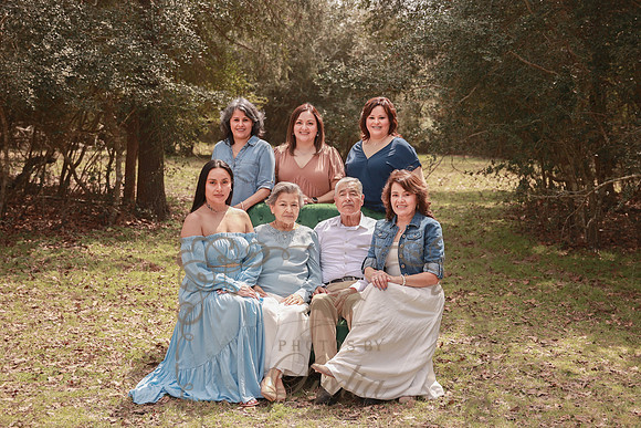 Family-35