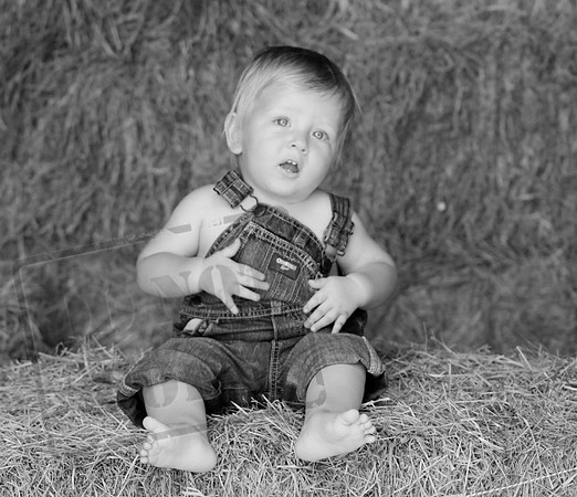 IMG_3442bw