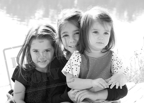5V3B8442bw