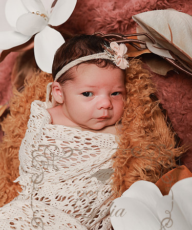 Willa-53