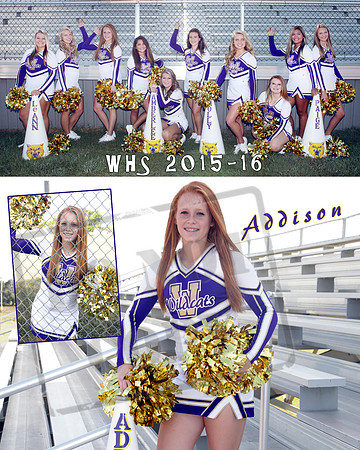 CollageAddison