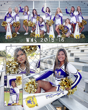 CollagePaige