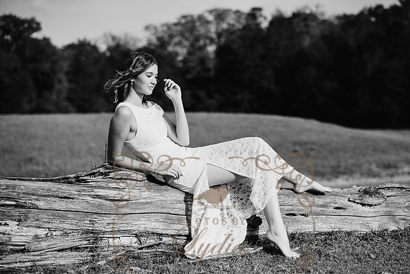 Emerson-17