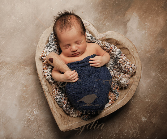 Aiden-0887