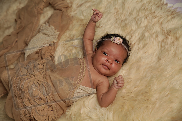 IMG_9984