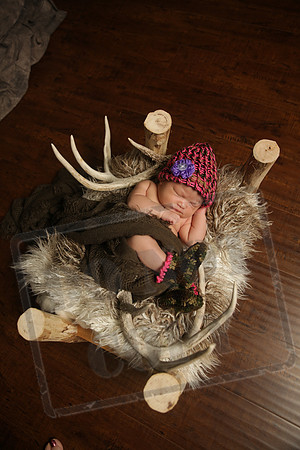 IMG_6648