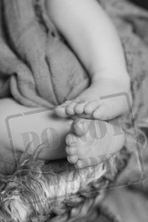 IMG_6699bw