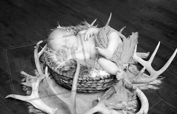 IMG_6707bw
