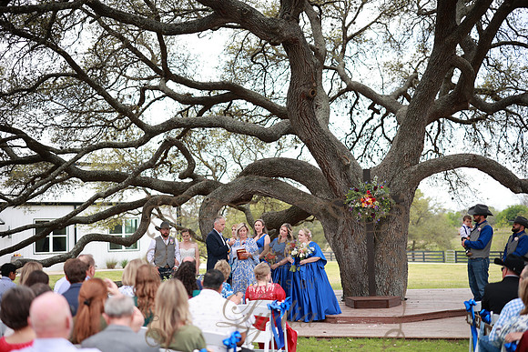 Vows (56)