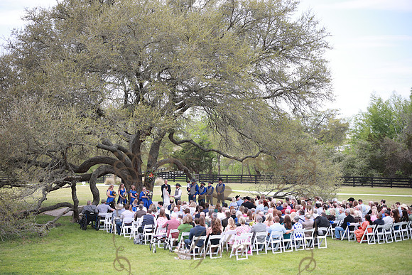 Vows (54)