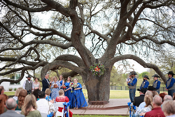Vows (58)