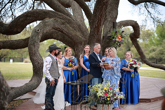 Vows (61)
