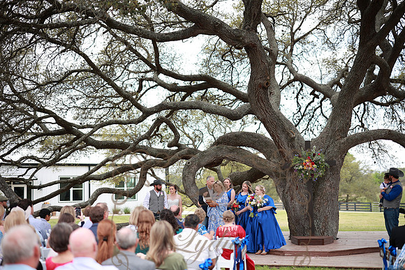 Vows (59)