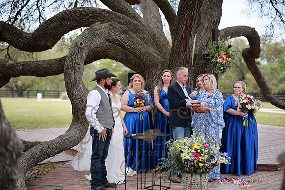 Vows (62)